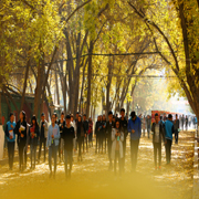 成果名称：新疆职业院校系统构建社会主义核心价值观“433”教育实践模式的探索